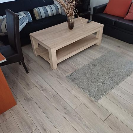 Apartament Cu Terasa La Casa Tina Timişoara Extérieur photo