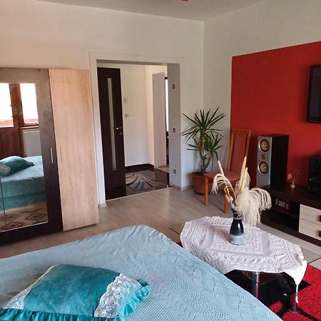 Apartament Cu Terasa La Casa Tina Timişoara Extérieur photo