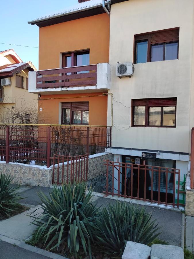 Apartament Cu Terasa La Casa Tina Timişoara Extérieur photo