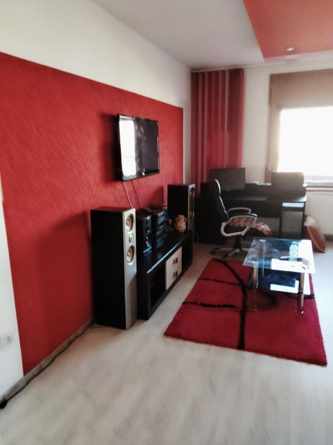 Apartament Cu Terasa La Casa Tina Timişoara Extérieur photo