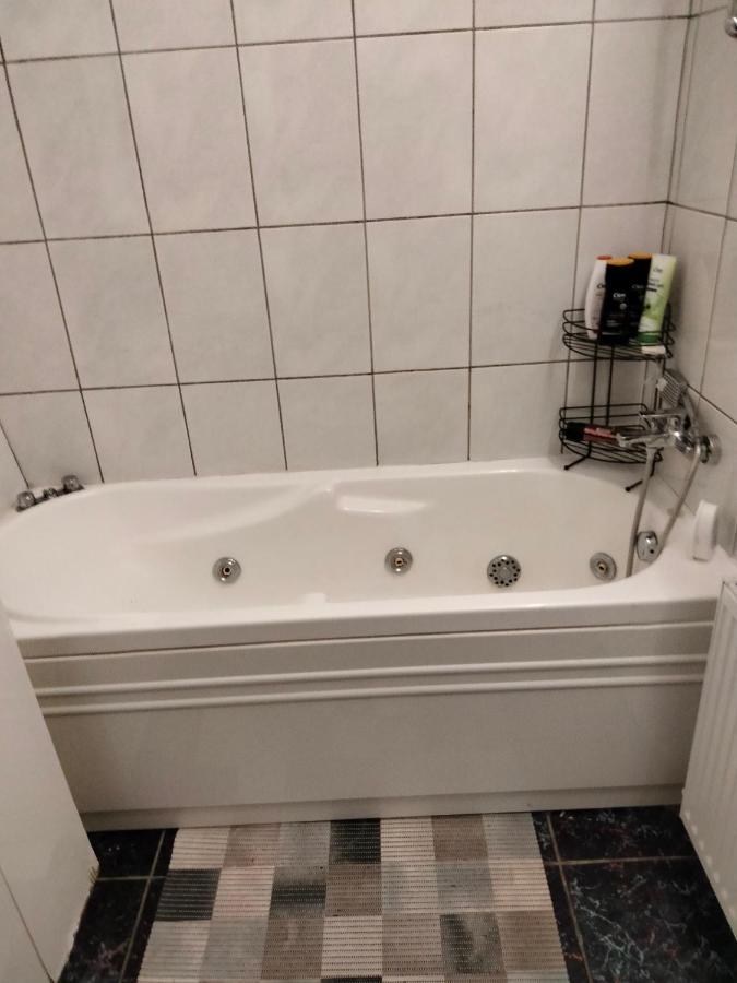 Apartament Cu Terasa La Casa Tina Timişoara Extérieur photo