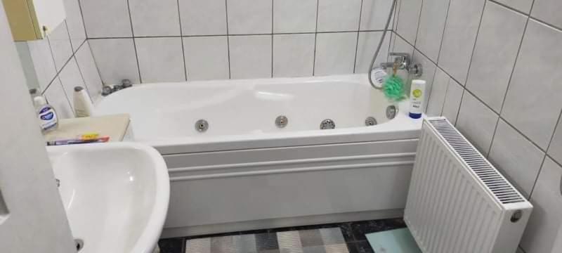Apartament Cu Terasa La Casa Tina Timişoara Extérieur photo