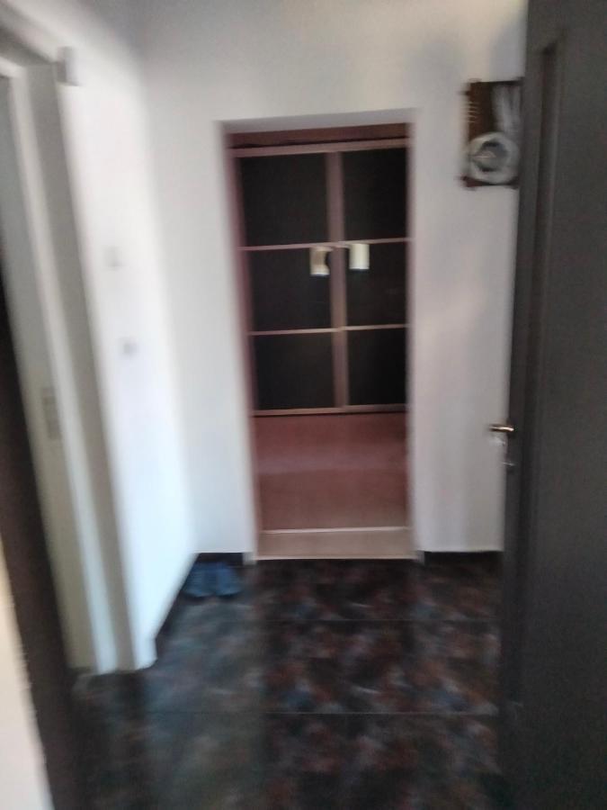Apartament Cu Terasa La Casa Tina Timişoara Extérieur photo