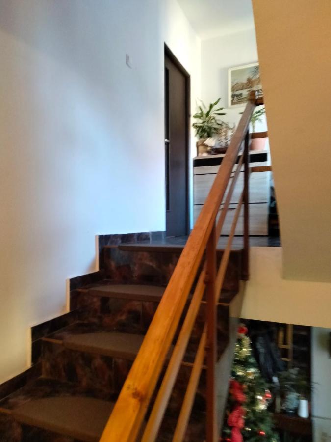 Apartament Cu Terasa La Casa Tina Timişoara Extérieur photo