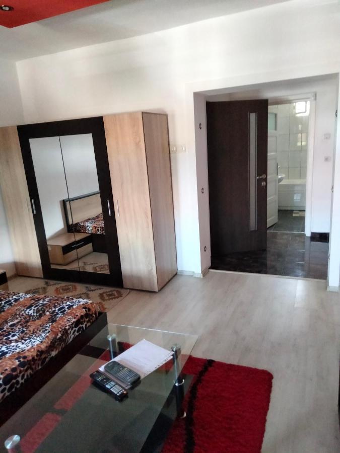 Apartament Cu Terasa La Casa Tina Timişoara Extérieur photo
