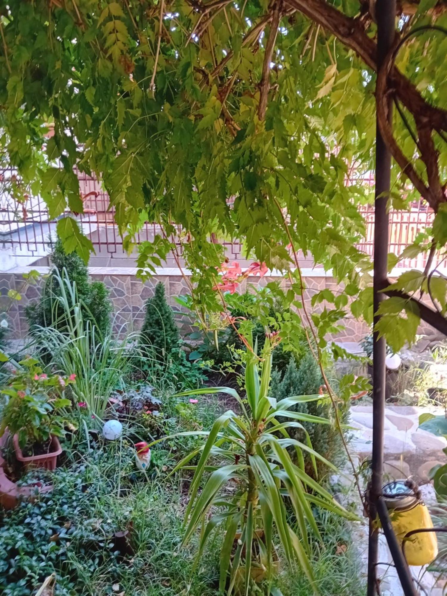 Apartament Cu Terasa La Casa Tina Timişoara Extérieur photo