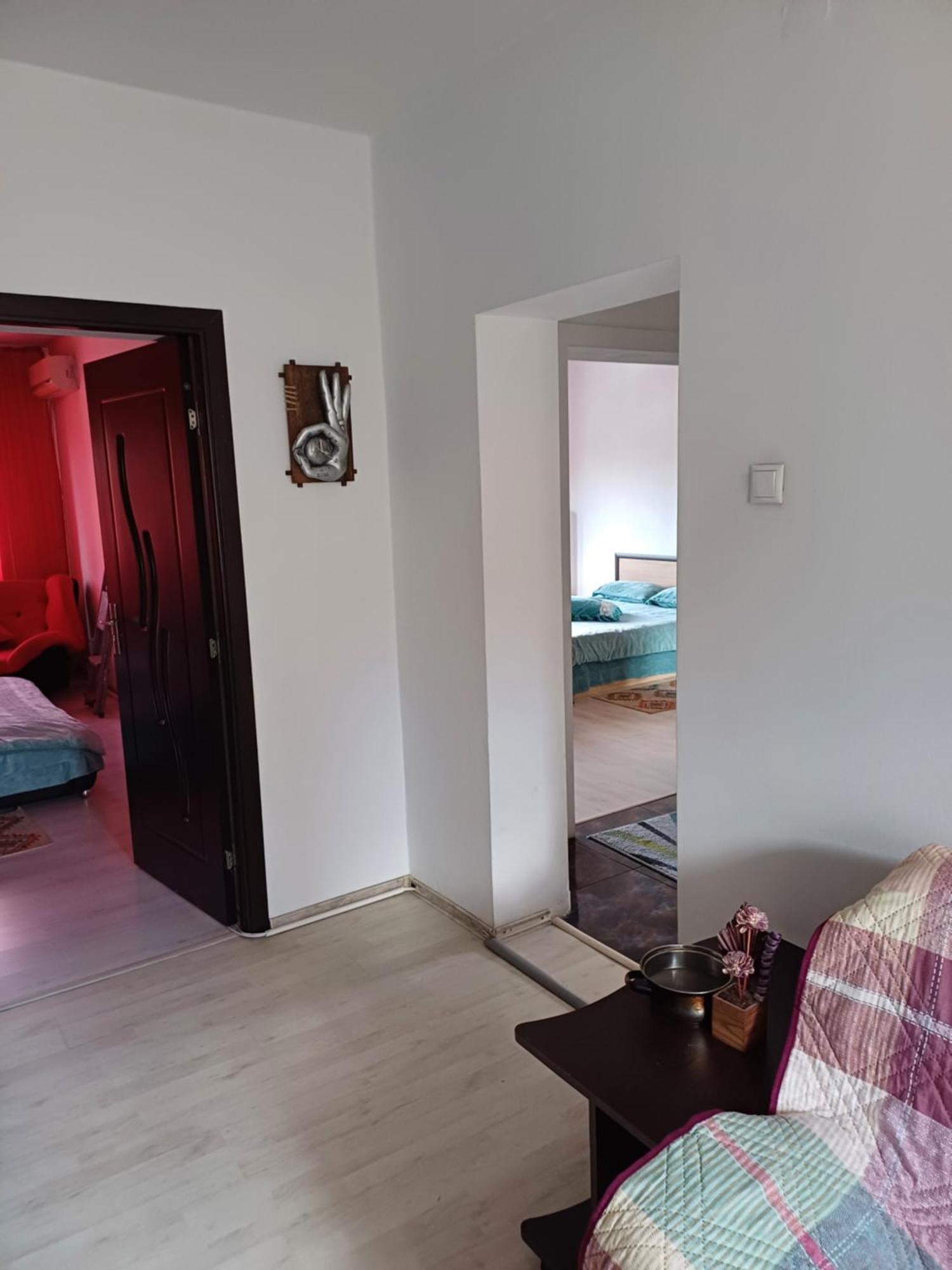 Apartament Cu Terasa La Casa Tina Timişoara Extérieur photo