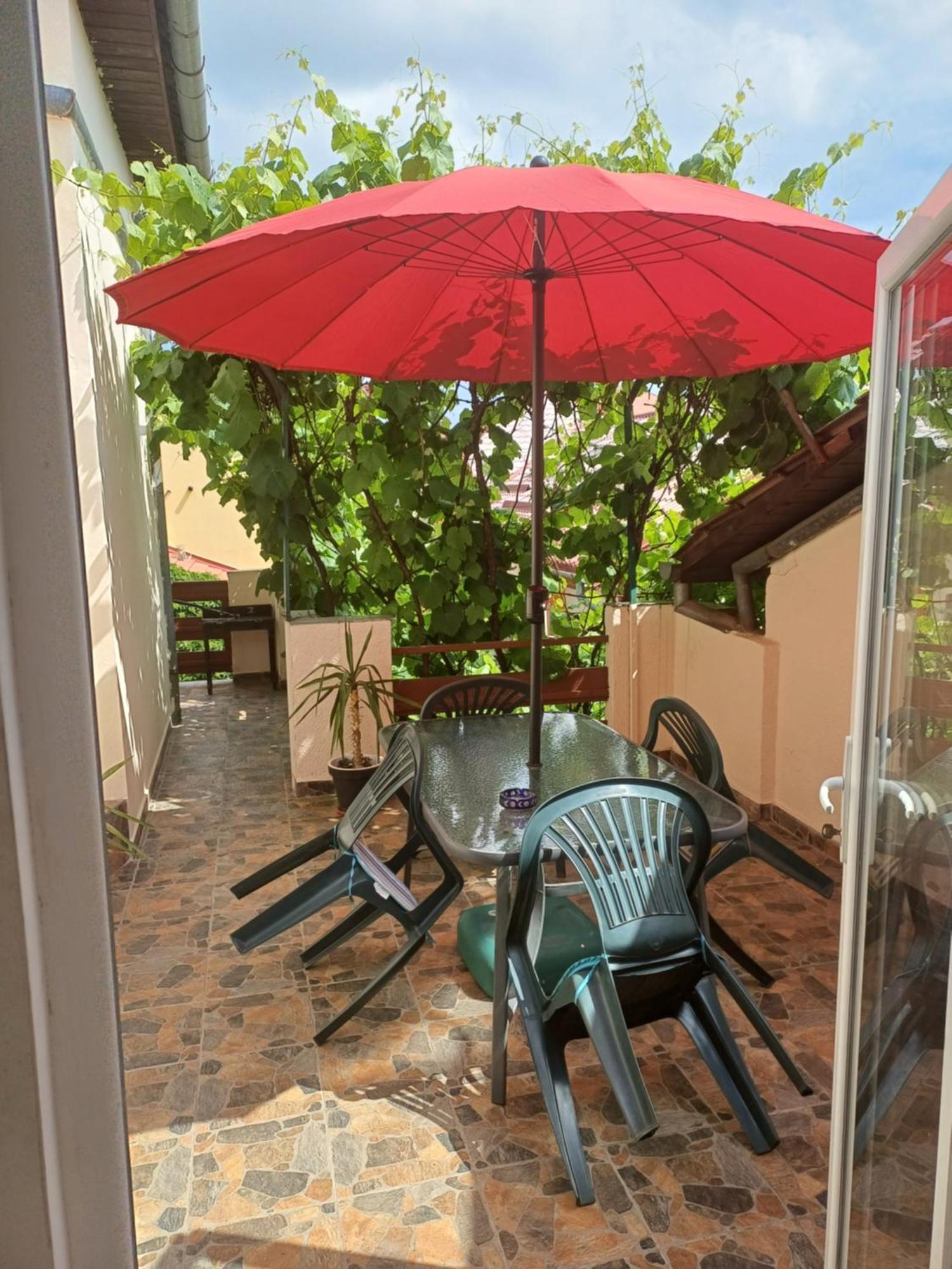 Apartament Cu Terasa La Casa Tina Timişoara Extérieur photo