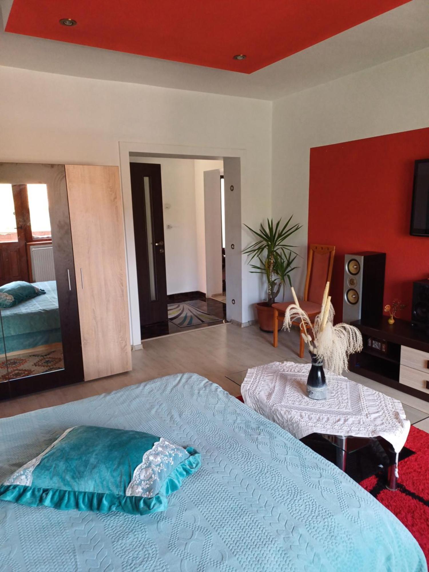 Apartament Cu Terasa La Casa Tina Timişoara Extérieur photo